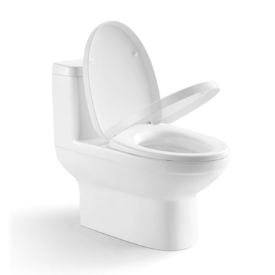 Elongated 1.1 Gpf One Piece Toilets Ceramic Chair Height Toilet