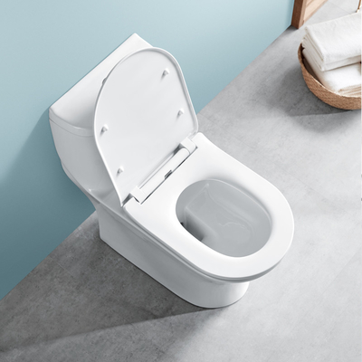 0.8/1.28 GPF Dual Flush Elongated One Piece Toilets Water Efficient
