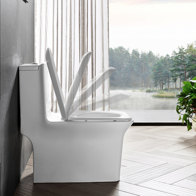 Dual Flush Elongated One Piece Commode Seat Included