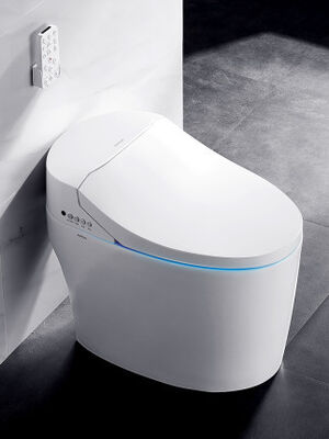 ARROW Brand Ceramic Smart Toilet with Siphon Jet Flushing Self-cleaning Glaze and Buttocks Washing Function