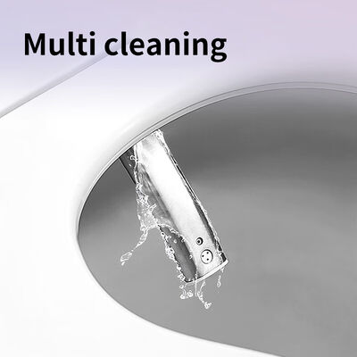 ARROW Smart Toilet with Siphon Flushing Heated Seat and Nozzle Self-cleaning Modern Intelligent Bidet Toilet