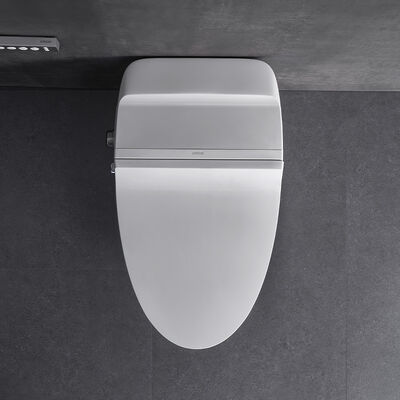 ARROW Intelligent Bidet Toilet with Self-cleaning Glazed Ceramic and Siphon Jet Flushing in One Piece Modern Design