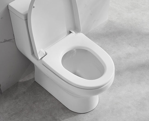 One Piece Ceramic Toilet Set 685×370×725mm Siphonic Flushing